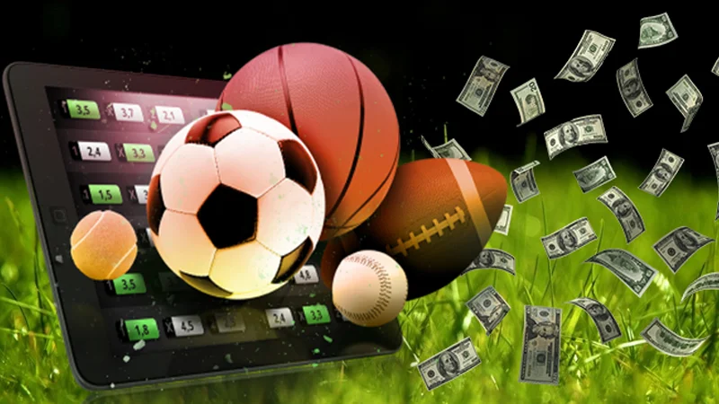 Có nhiều sảnh cược thể thao tại sân chơi Vinbet